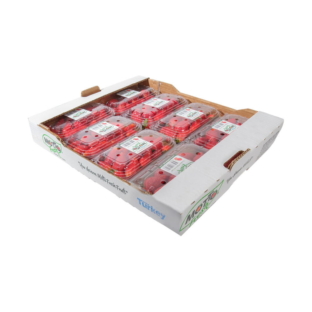 Rub Gem Çilek250/350/500 gr. Şale2/2,5 Kg. Karton Kutu